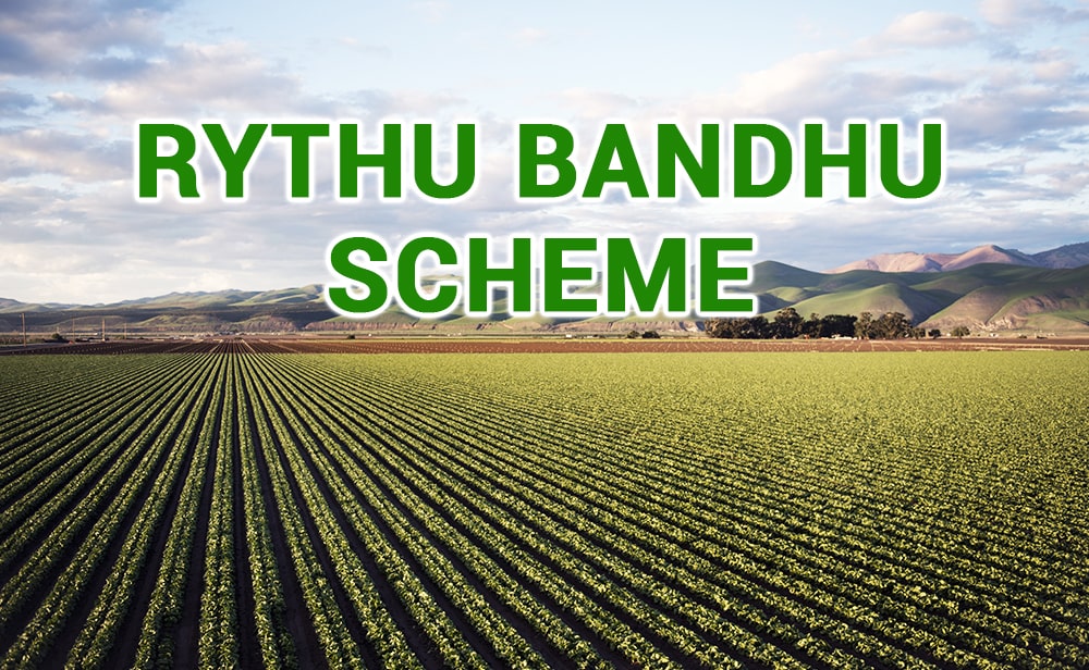 Rythu Bandhu Status